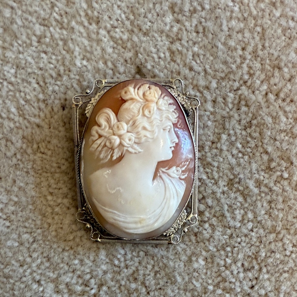 Vintage Cameo Brooch with Intricate Frame
